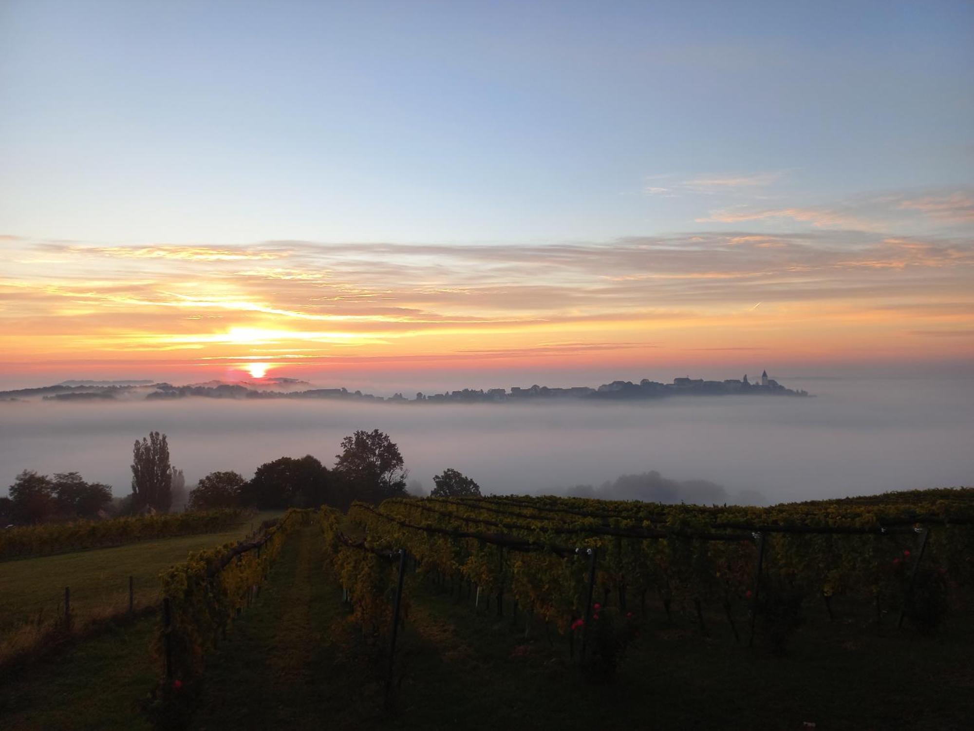 Winzerzimmer Scharl Sankt Anna am Aigen Exterior photo