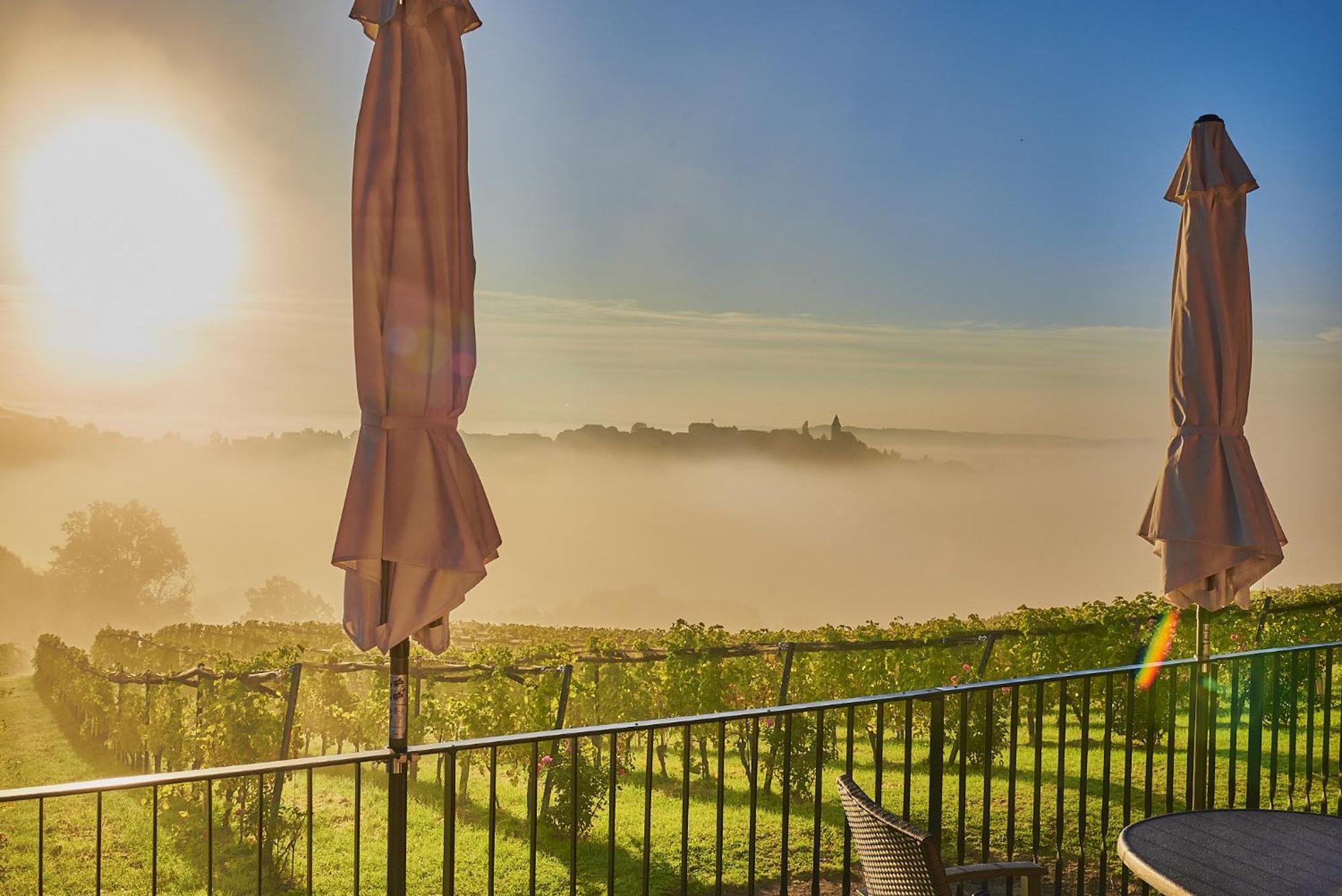 Winzerzimmer Scharl Sankt Anna am Aigen Exterior photo
